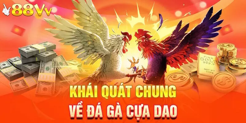 Đá Gà Cựa Dao