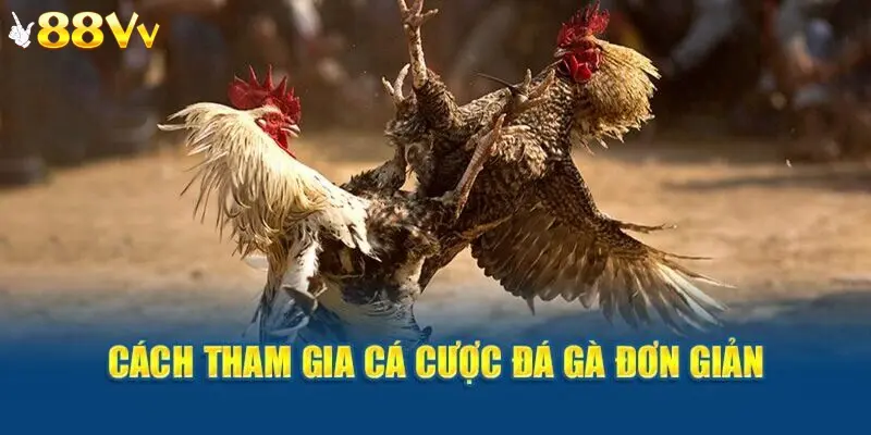 Quy trình tham gia đá gà 88VV cực đơn giản